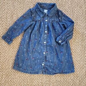 Baby Gap Denim And Floral Button Up Dress